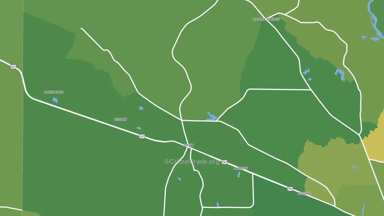 31555, GA Map of Vehicle Theft Rates