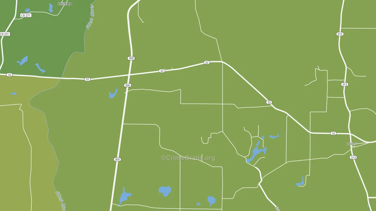 31772, GA Map of Vehicle Theft Rates