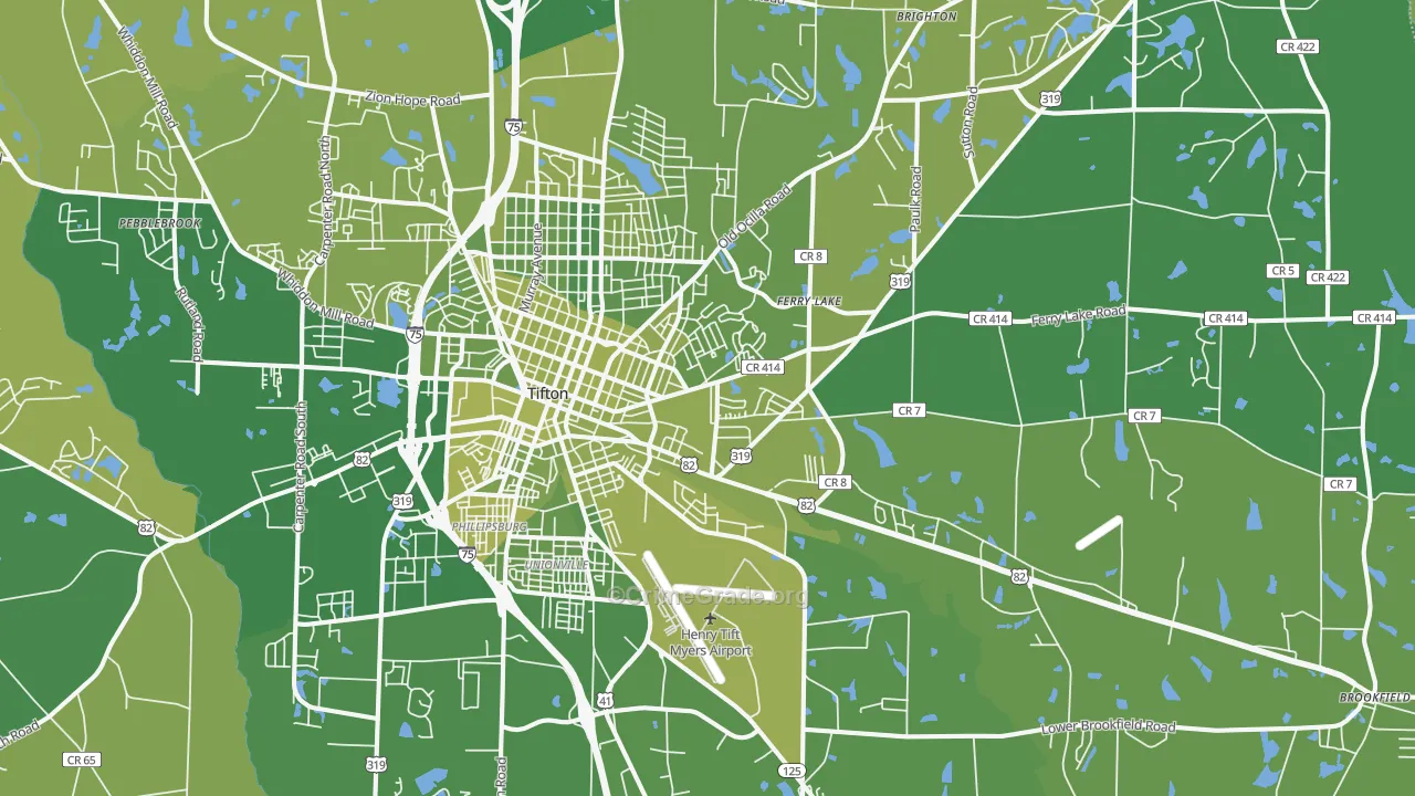 31794, GA Map of Vehicle Theft Rates
