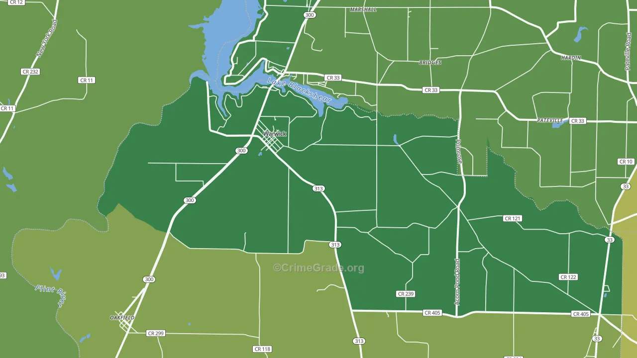 31796, GA Map of Vehicle Theft Rates