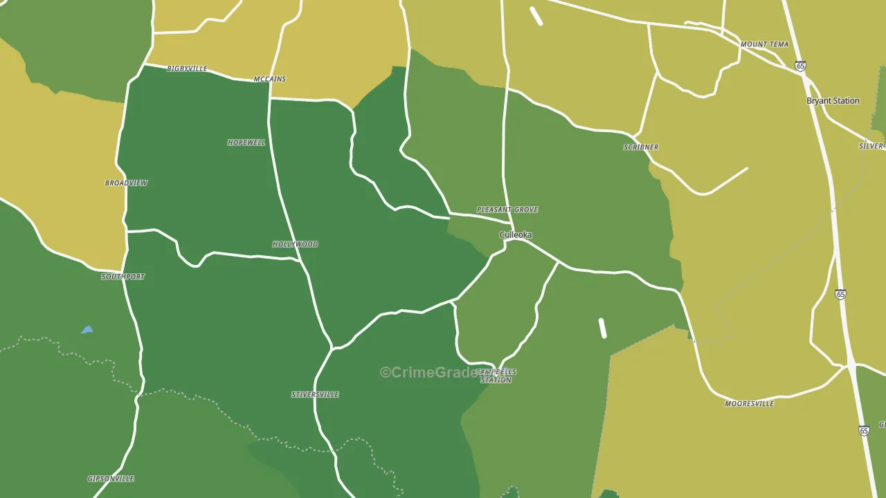 38451, TN Map of Vehicle Theft Rates