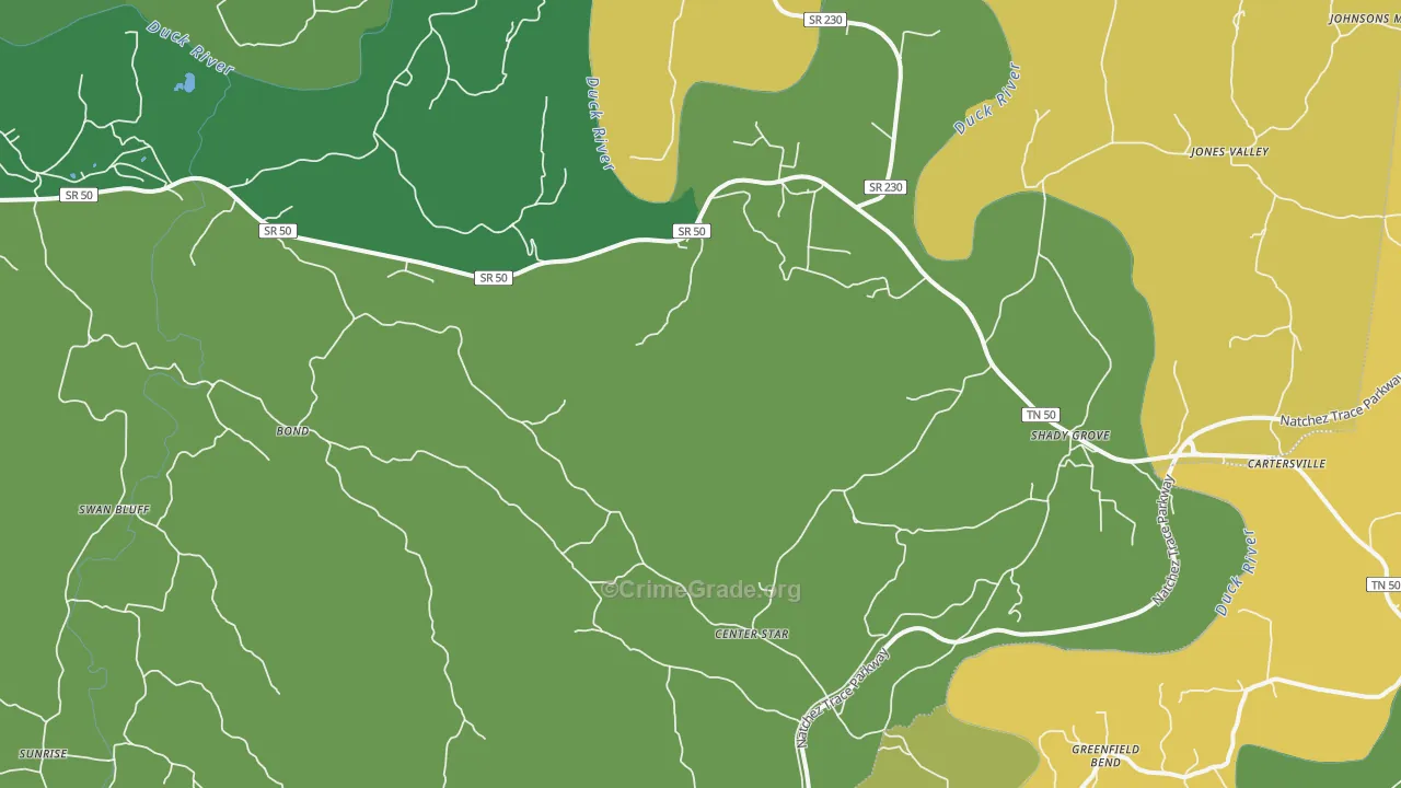 38454, TN Map of Vehicle Theft Rates