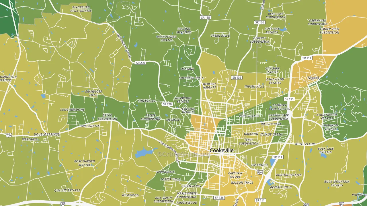 38501, TN Map of Vehicle Theft Rates