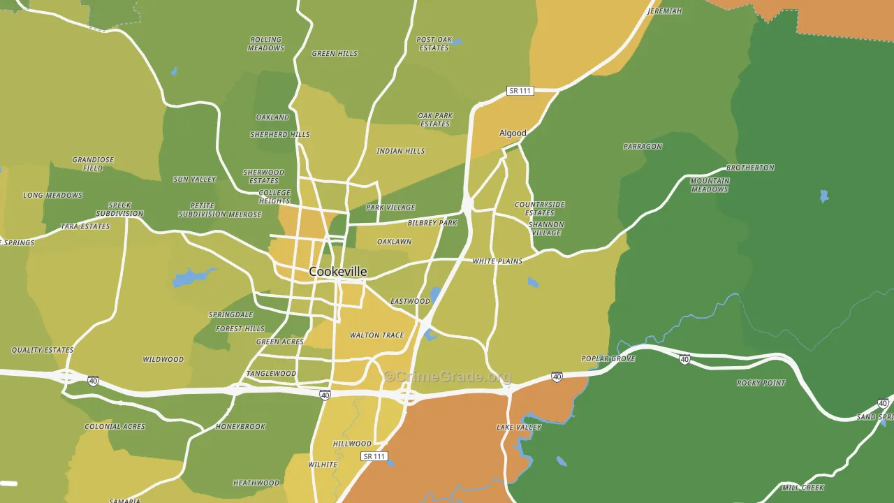 38506, TN Map of Vehicle Theft Rates