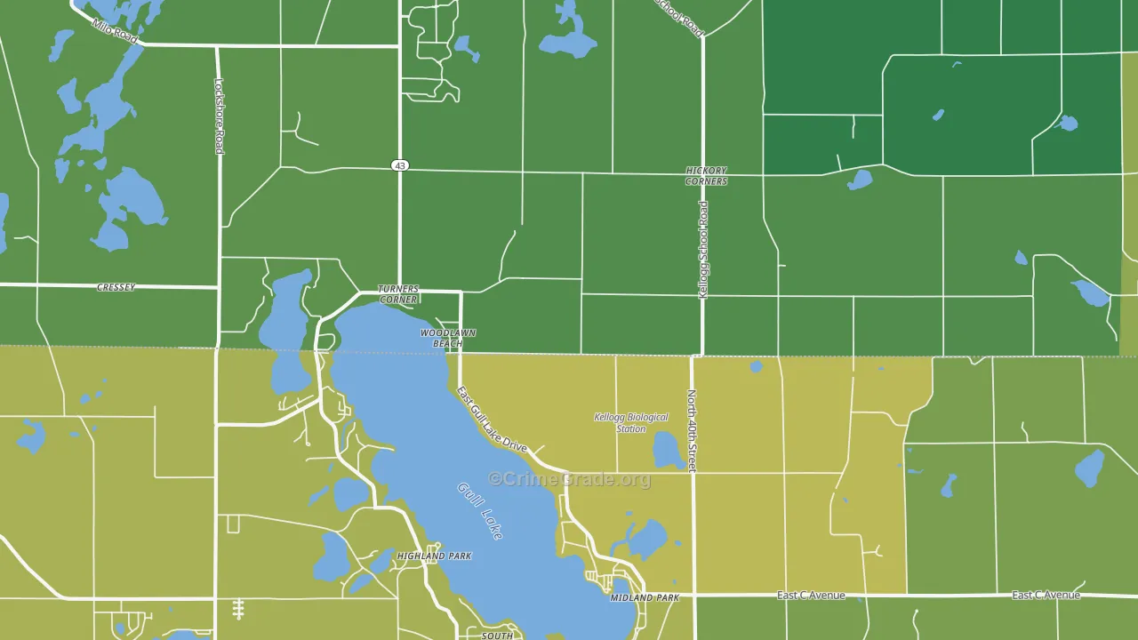 49060, MI Map of Vehicle Theft Rates