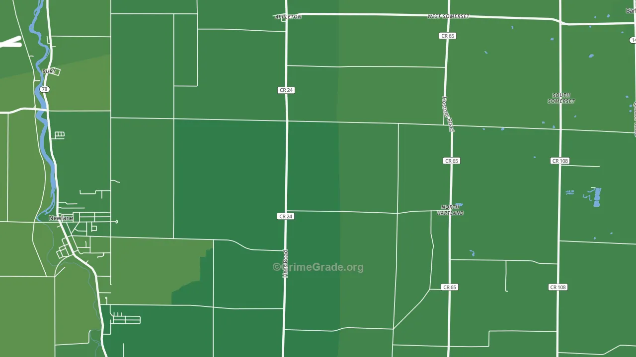 Appleton, NY Map of Vehicle Theft Rates