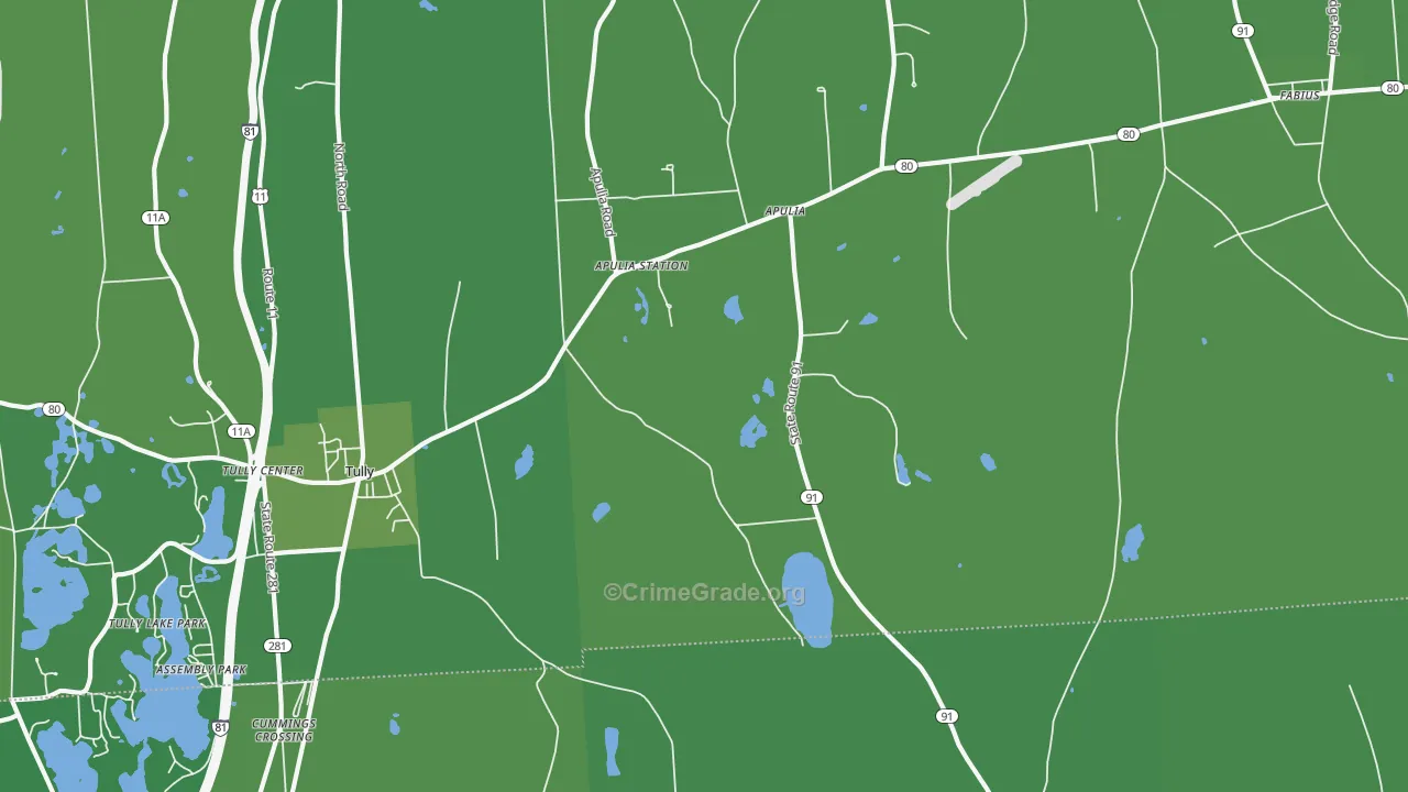 Apulia Station, NY Map of Vehicle Theft Rates