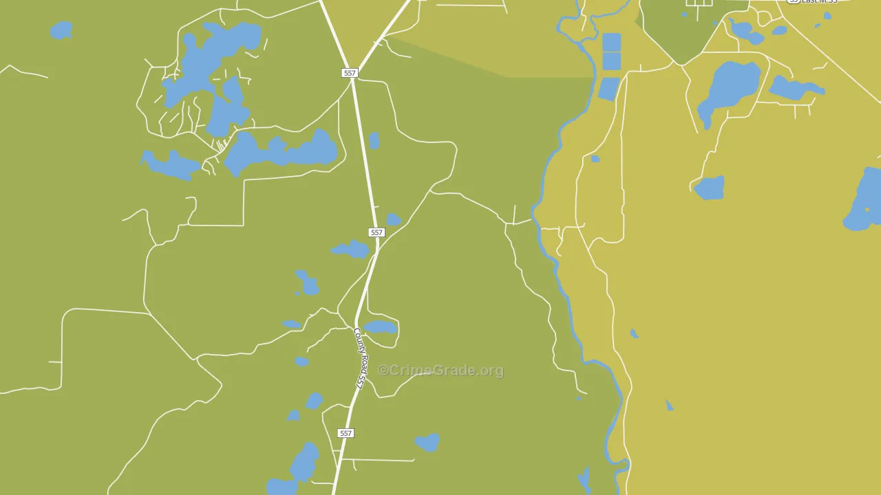 Austin, MI Map of Vehicle Theft Rates