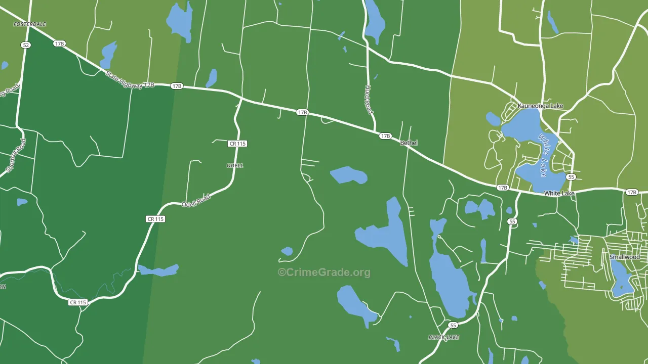Bethel, NY Map of Vehicle Theft Rates