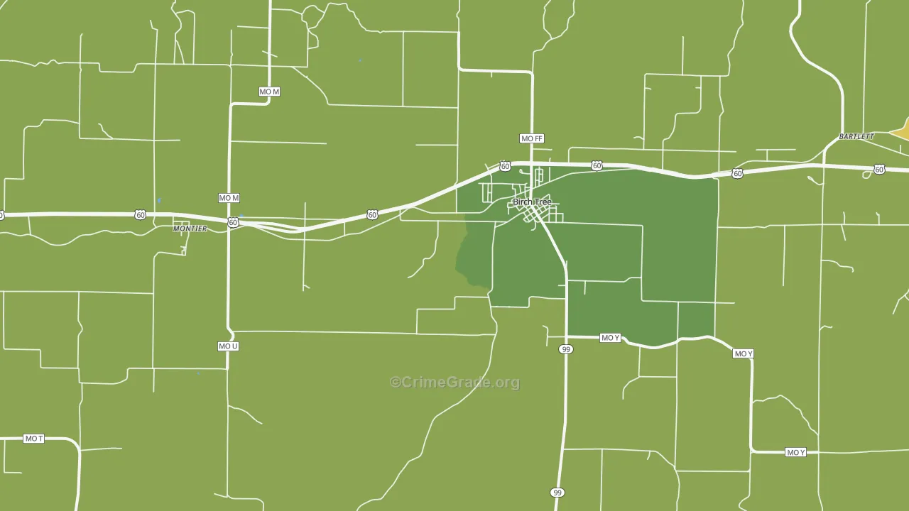 Birch Tree, MO Map of Vehicle Theft Rates