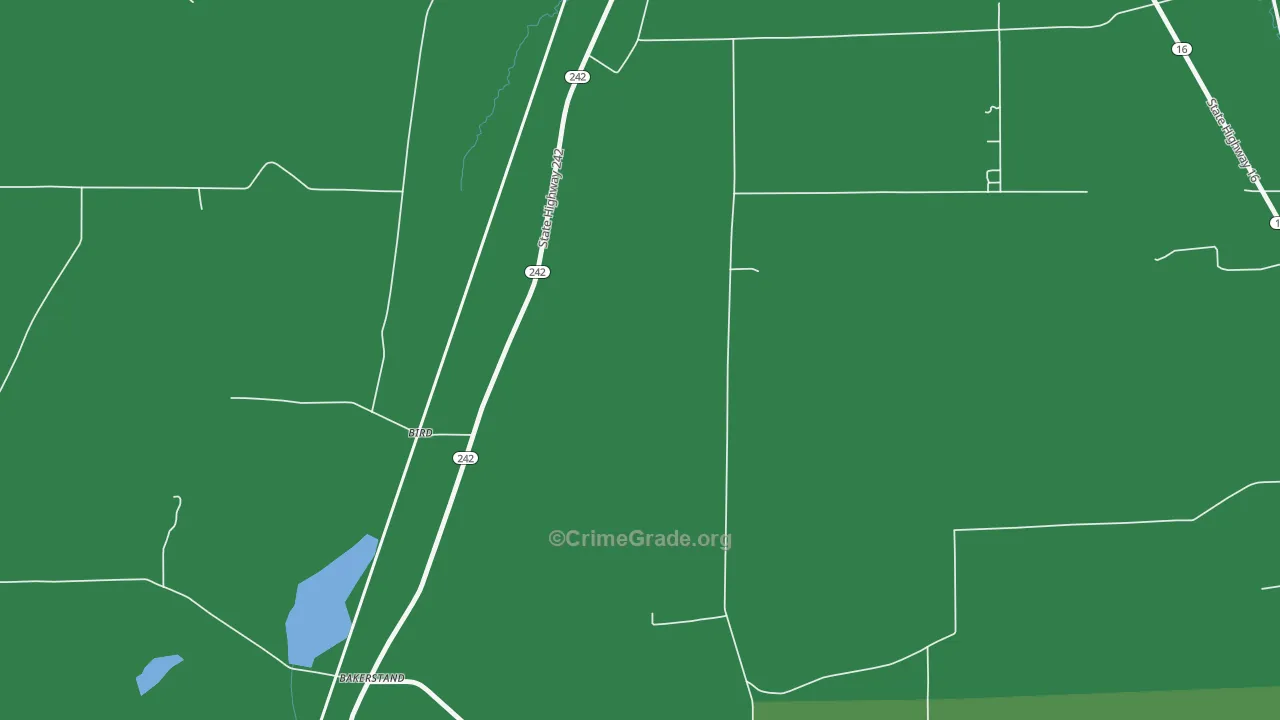 Bird, NY Map of Vehicle Theft Rates