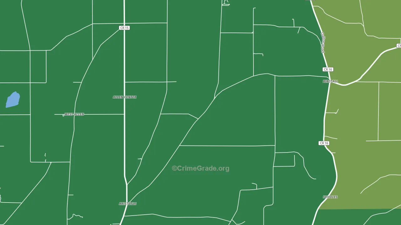 Birdsall, NY Map of Vehicle Theft Rates
