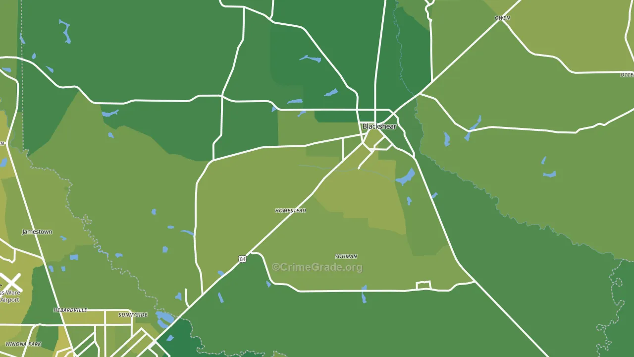 Blackshear, GA Map of Vehicle Theft Rates