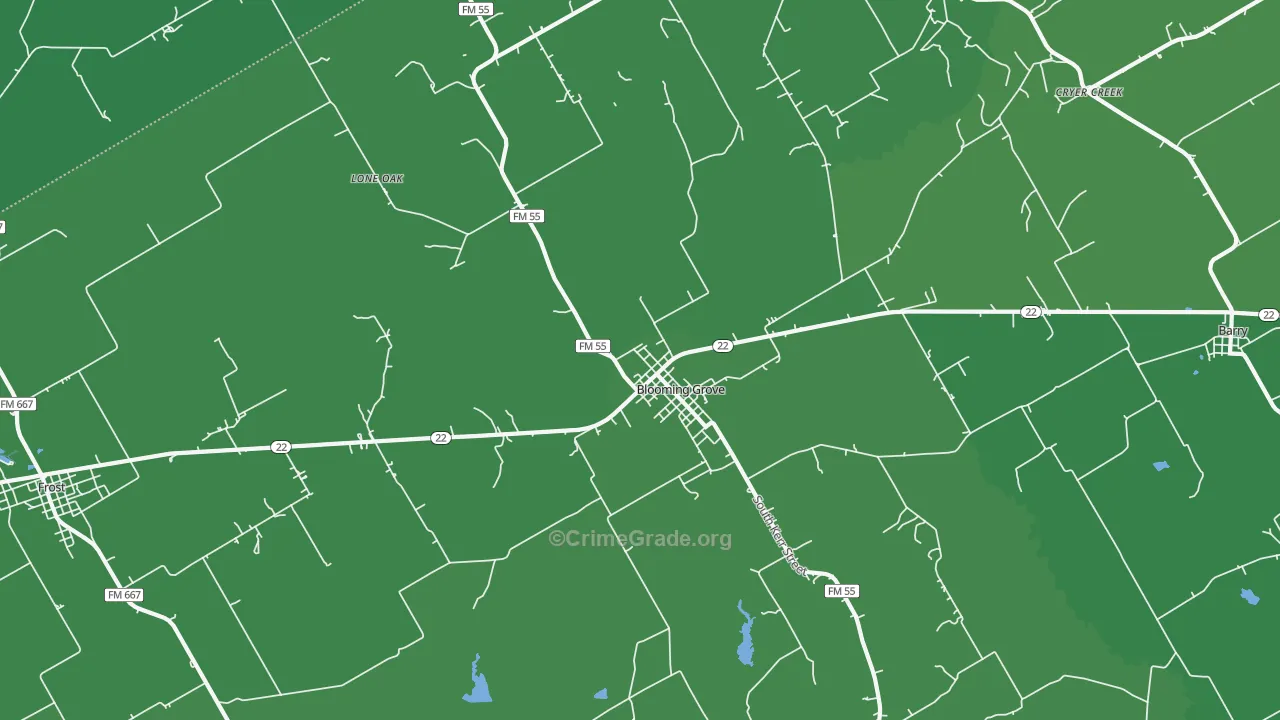 Blooming Grove, TX Map of Vehicle Theft Rates