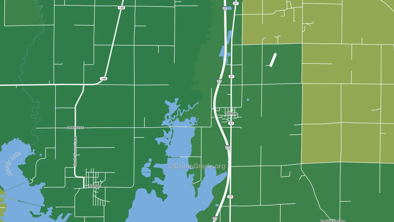 Bonnie, IL Map of Vehicle Theft Rates