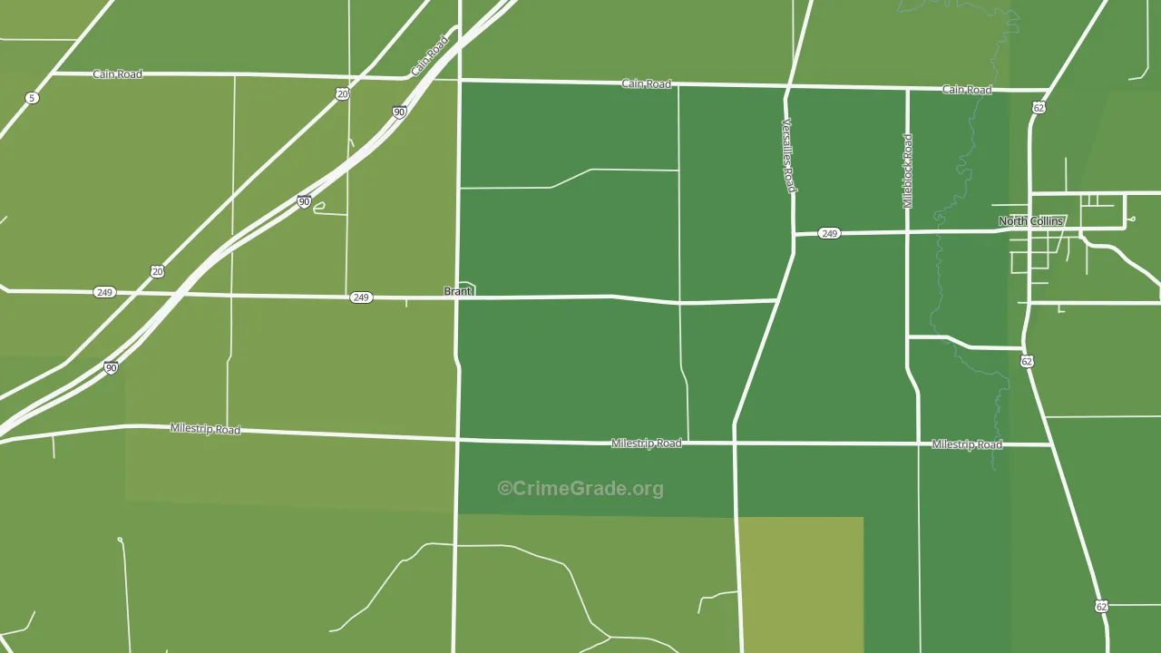 Brant, NY Map of Vehicle Theft Rates