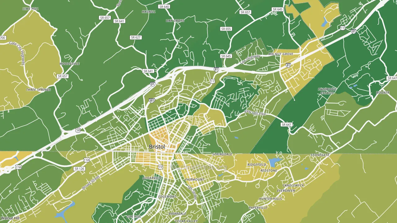 Bristol City, VA Map of Vehicle Theft Rates
