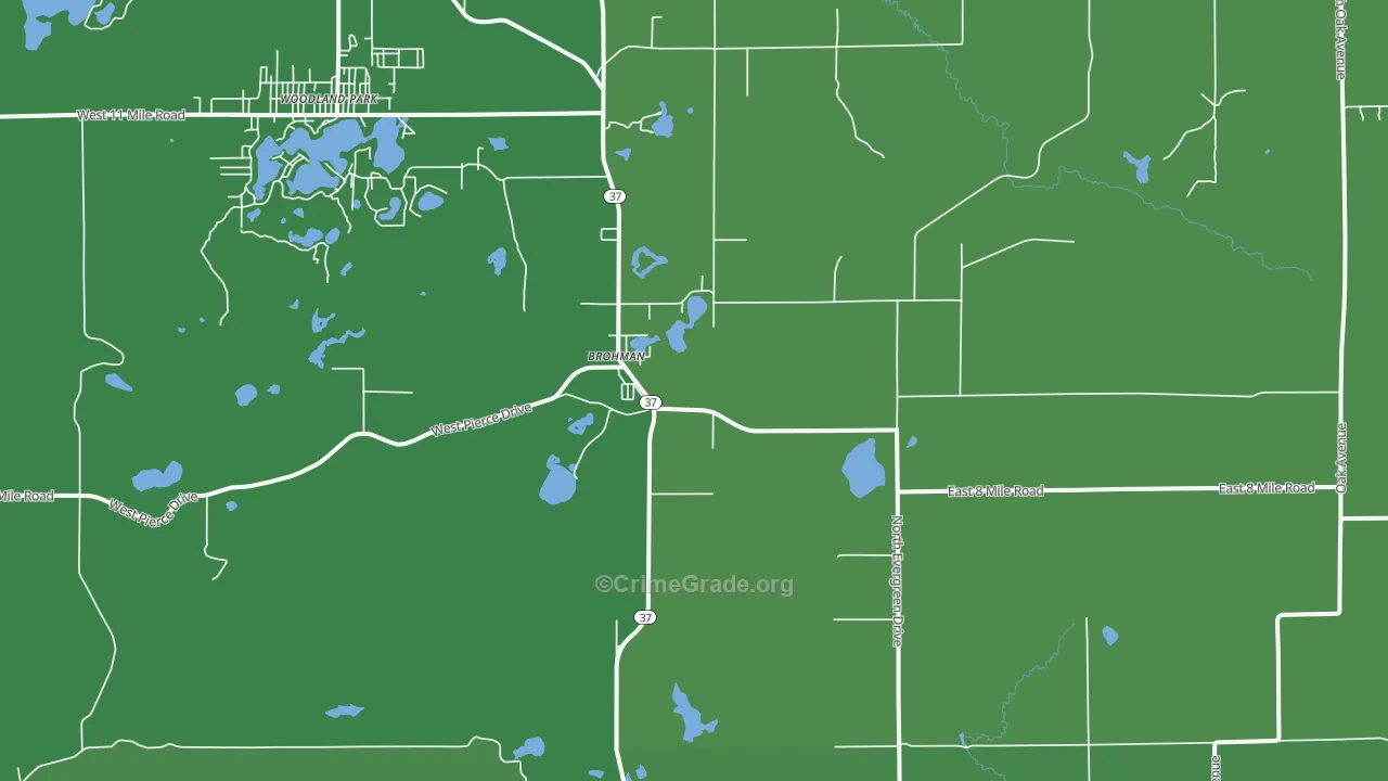 Brohman, MI Map of Vehicle Theft Rates