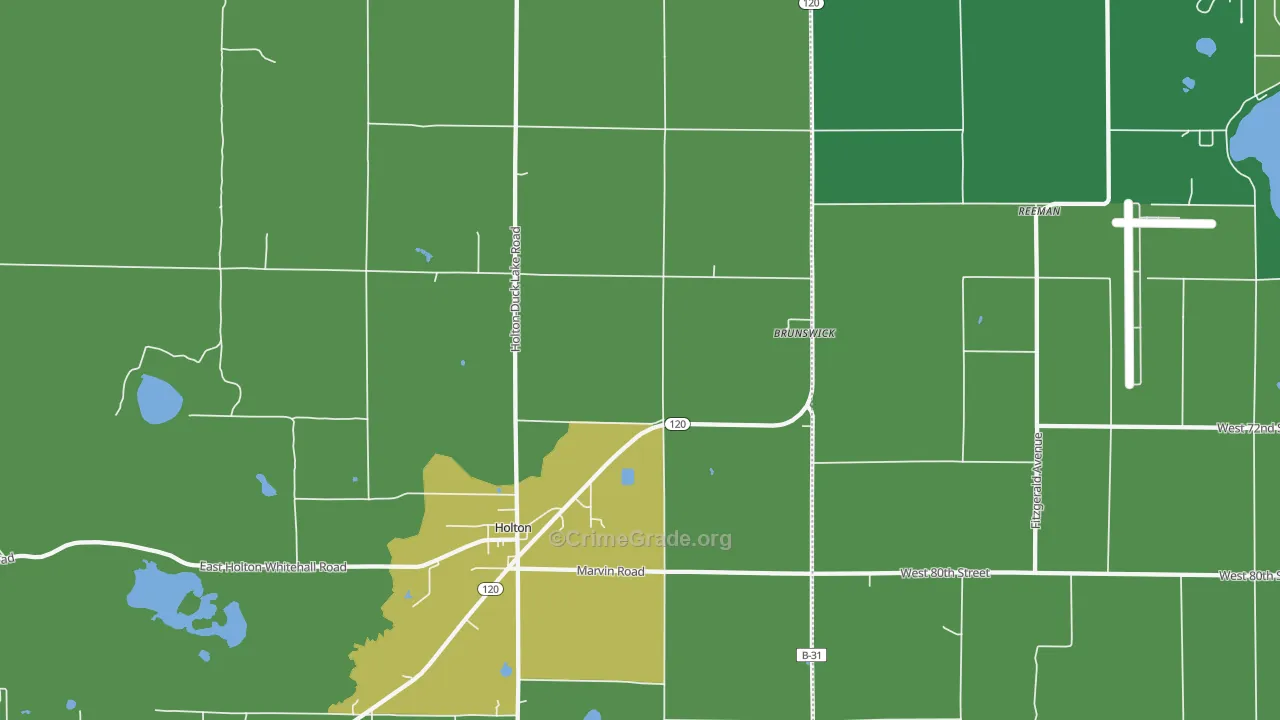 Brunswick, MI Map of Vehicle Theft Rates