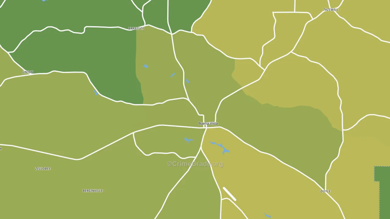 Buena Vista, GA Map of Vehicle Theft Rates