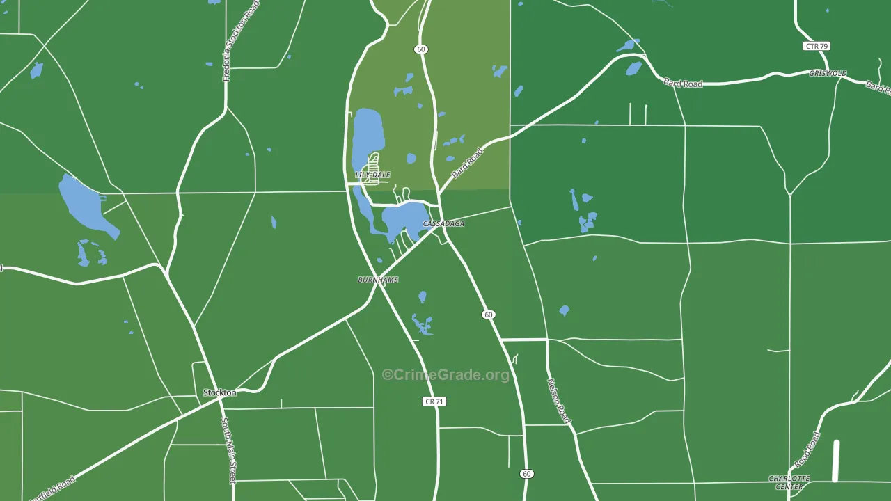 Cassadaga, NY Map of Vehicle Theft Rates
