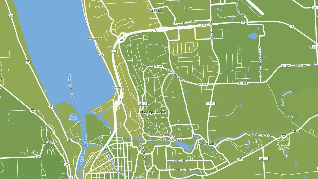 Cayuga Heights, NY Map of Vehicle Theft Rates