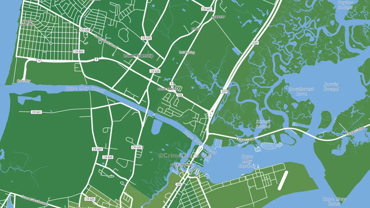 Cold Spring, NJ Map of Vehicle Theft Rates