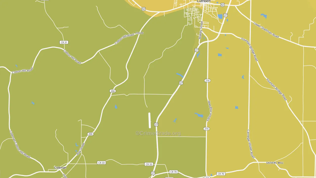 Coleman, GA Map of Vehicle Theft Rates