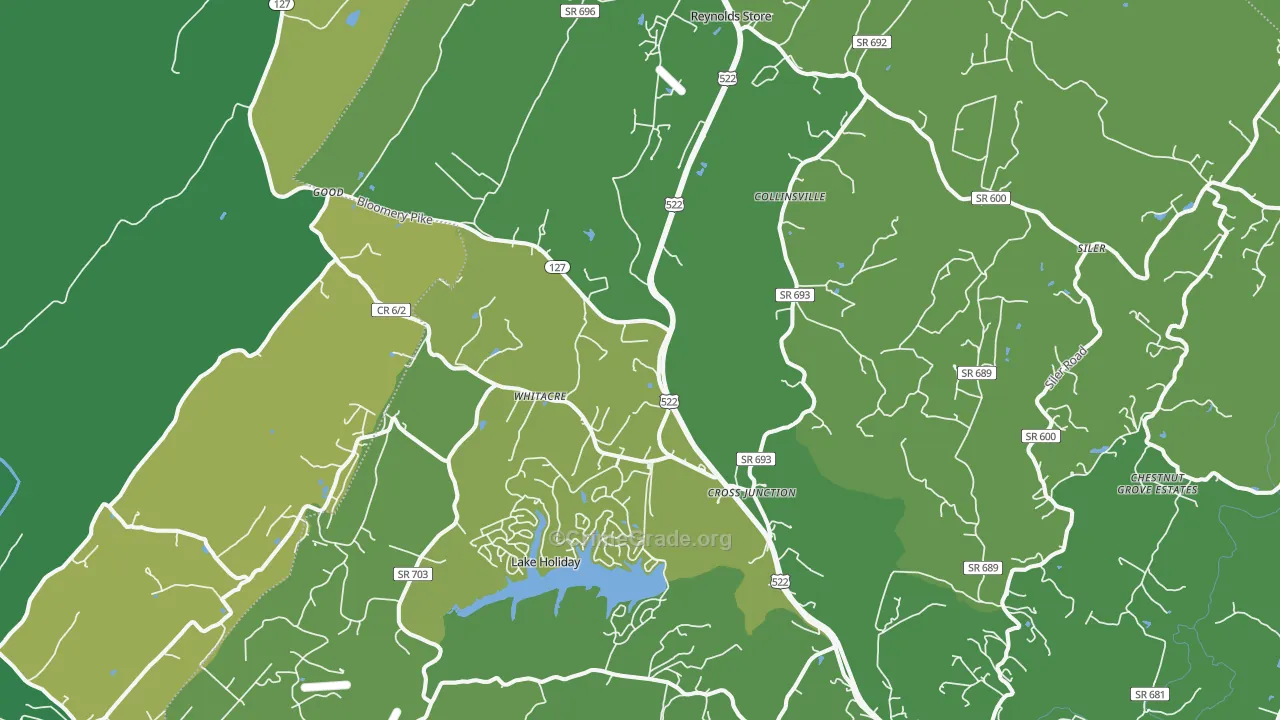 Cross Junction, VA Map of Vehicle Theft Rates