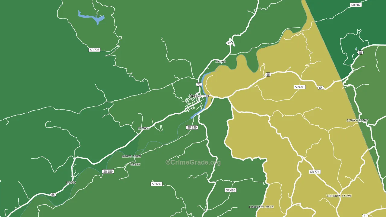 Dungannon, VA Map of Vehicle Theft Rates