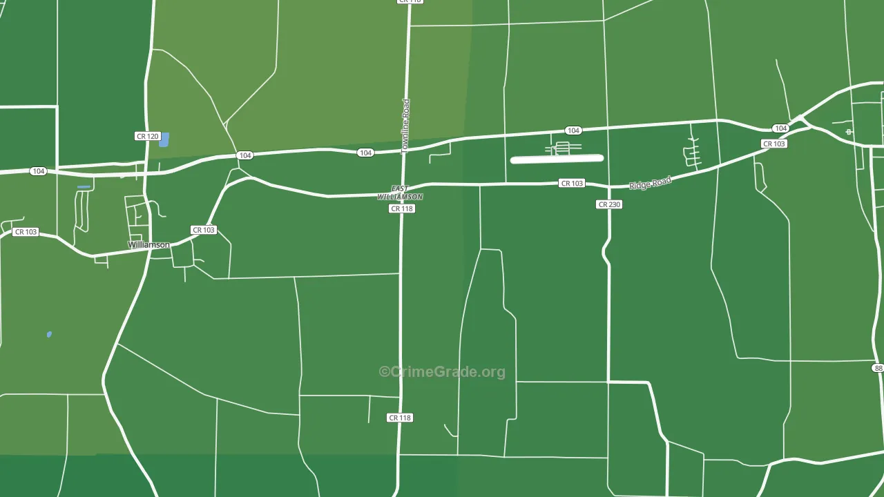 East Williamson, NY Map of Vehicle Theft Rates