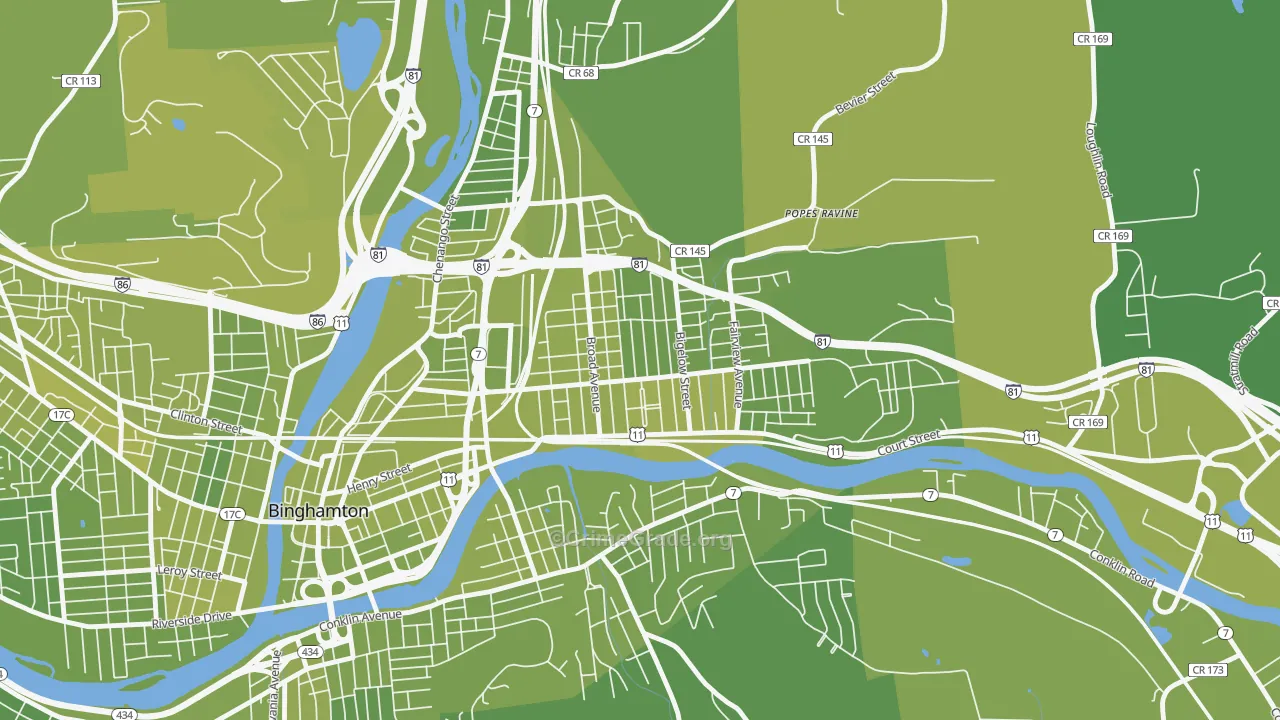 Eastside, Binghamton, NY Map of Vehicle Theft Rates