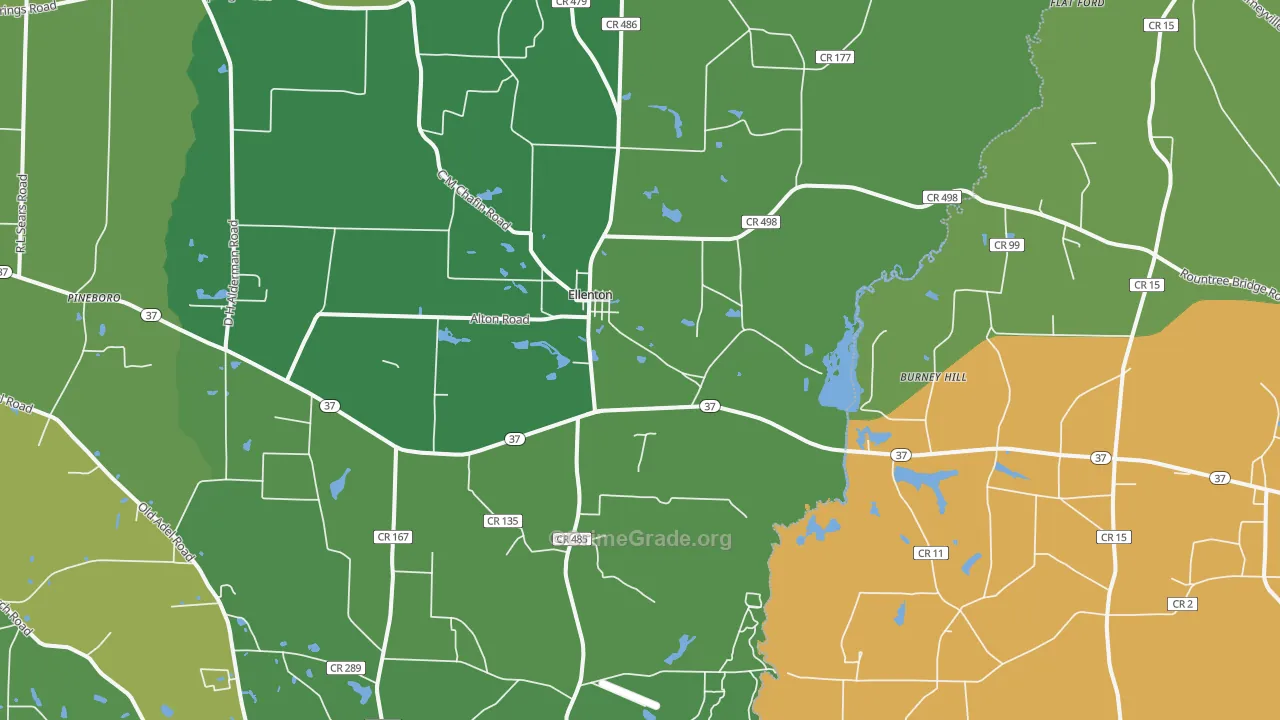Ellenton, GA Map of Vehicle Theft Rates