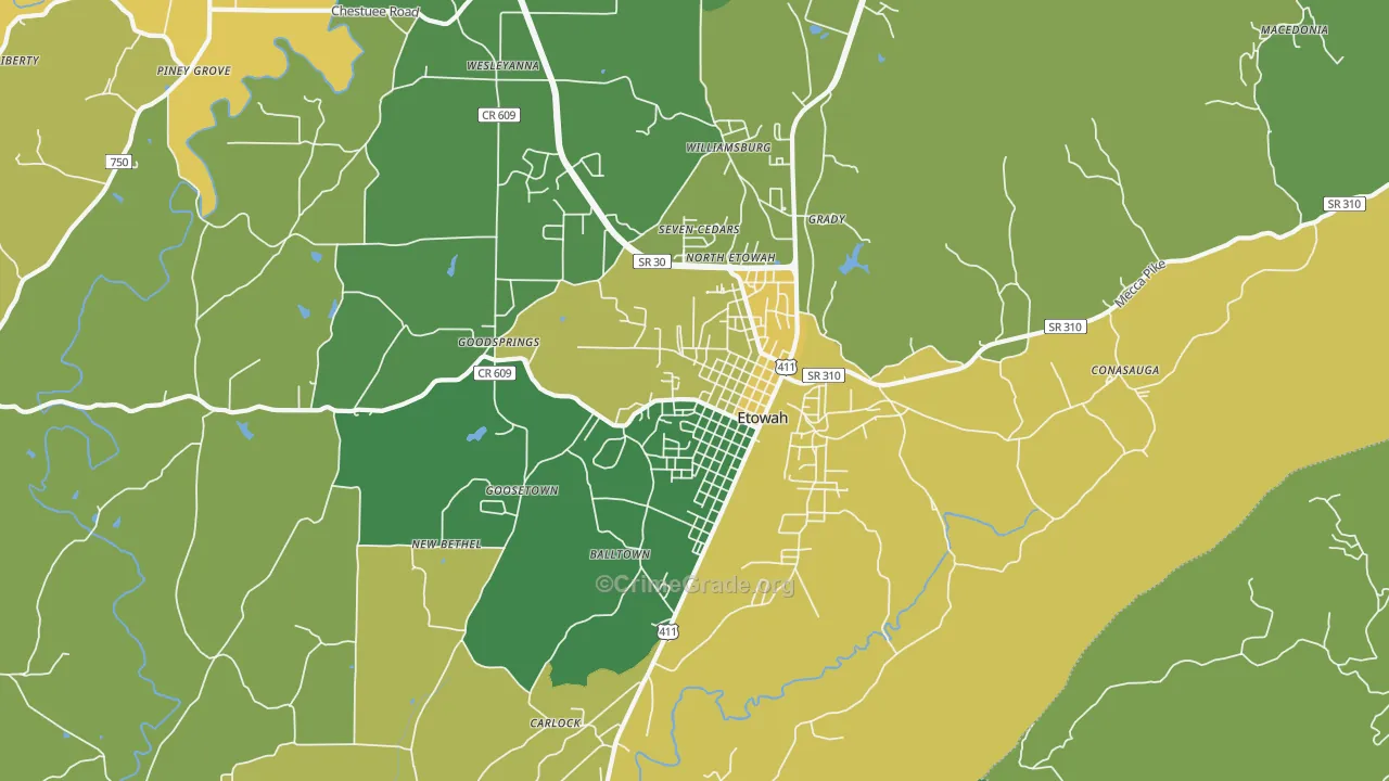 Etowah, TN Map of Vehicle Theft Rates
