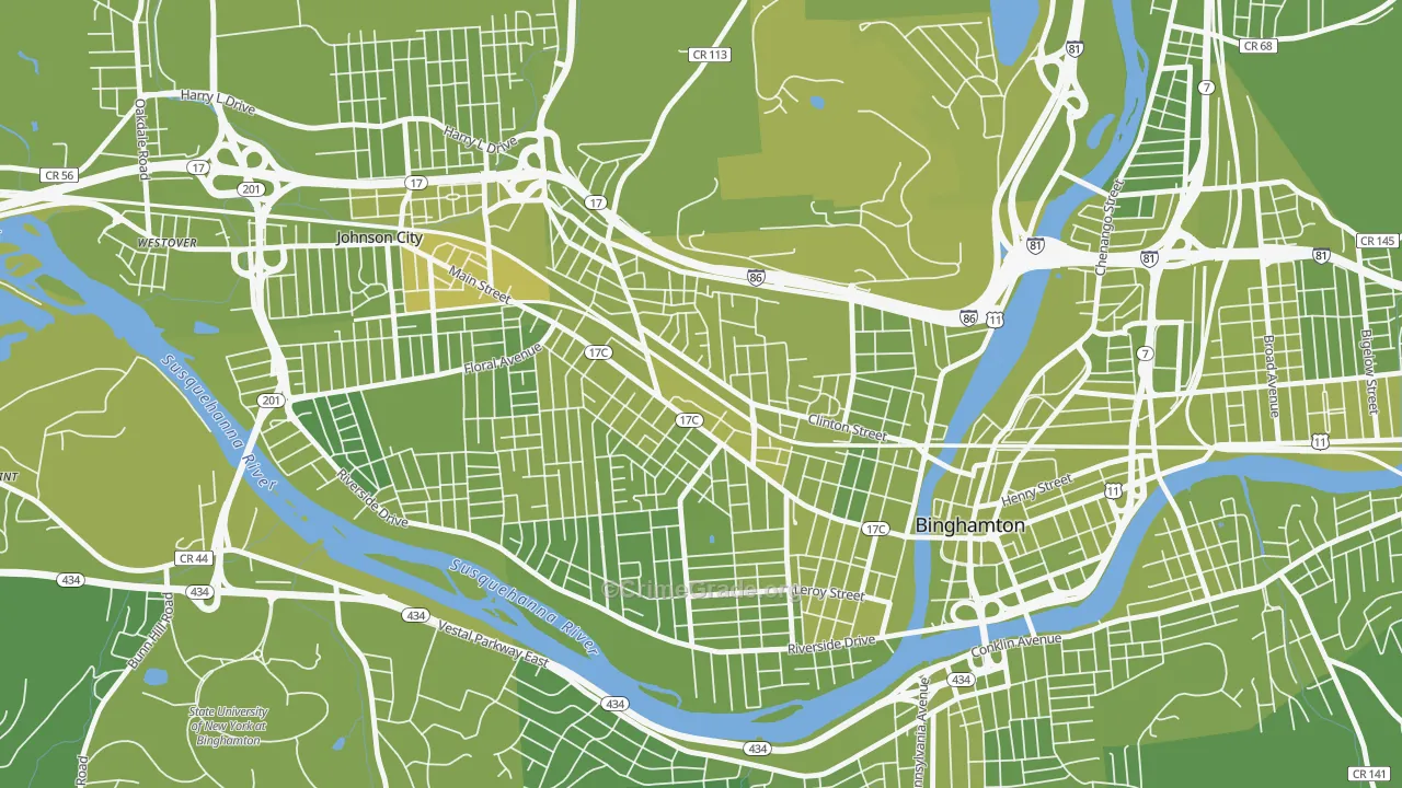 First Ward, Binghamton, NY Map of Vehicle Theft Rates