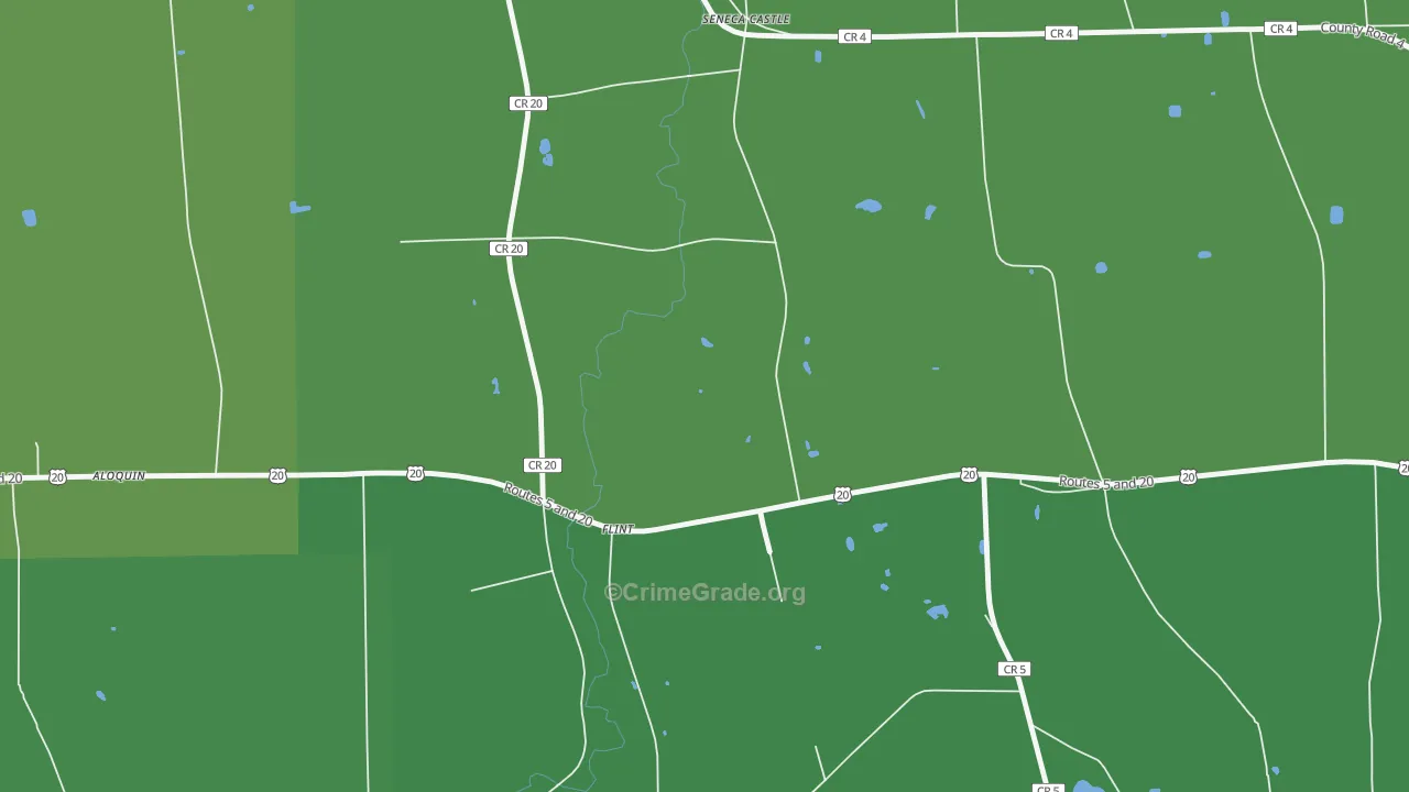 Flint, NY Map of Vehicle Theft Rates