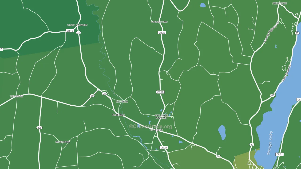 Fly Creek, NY Map of Vehicle Theft Rates