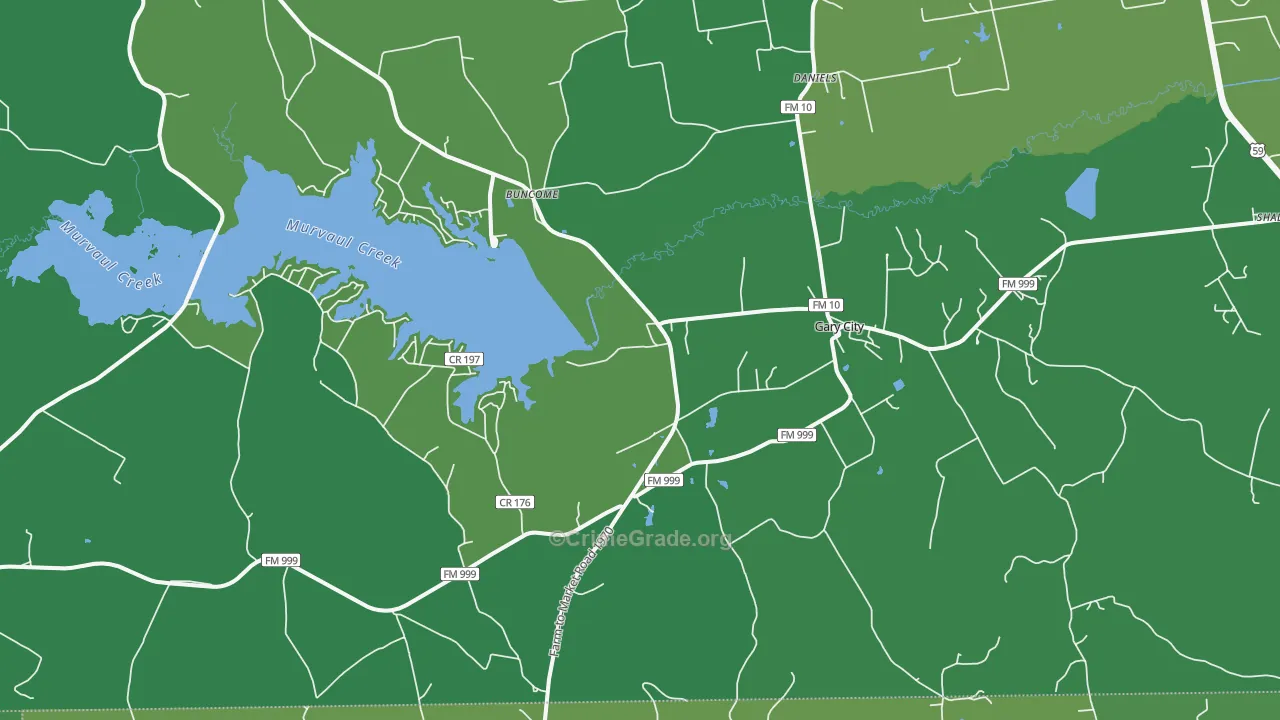 Gary, TX Map of Vehicle Theft Rates