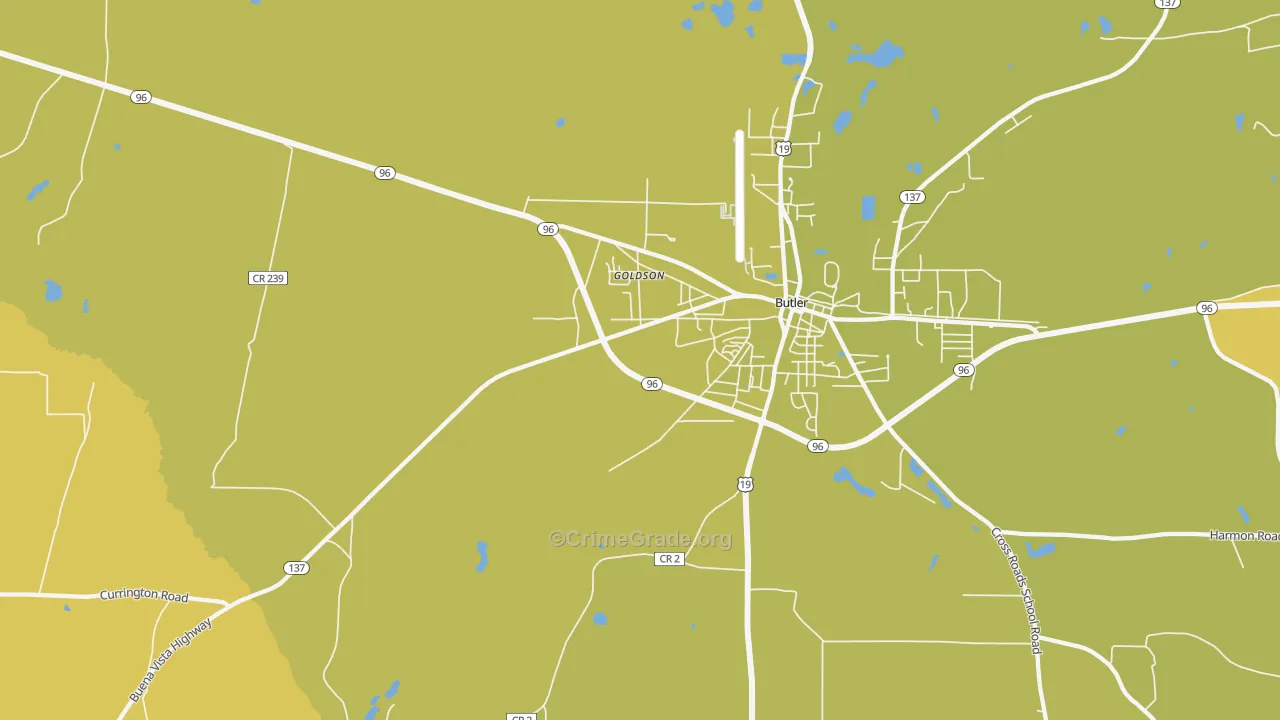Goldson, GA Map of Vehicle Theft Rates