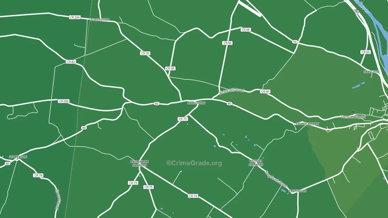 Hallsville, NY Map of Vehicle Theft Rates