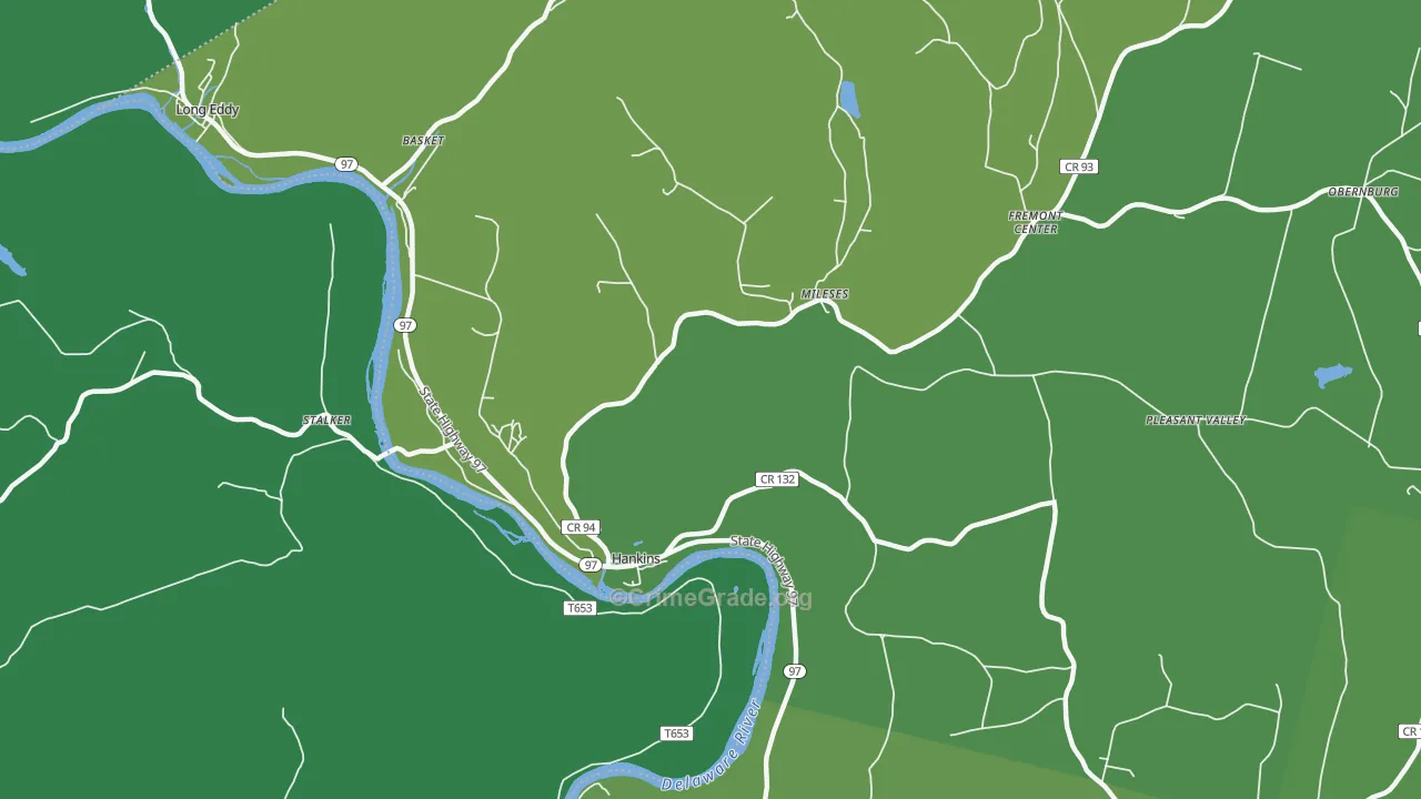 Hankins, NY Map of Vehicle Theft Rates