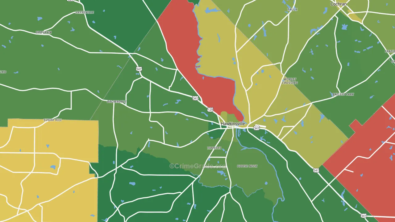 Hawkinsville, GA Map of Vehicle Theft Rates