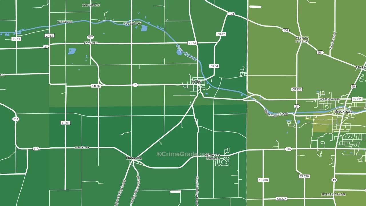 Holley, NY Map of Vehicle Theft Rates