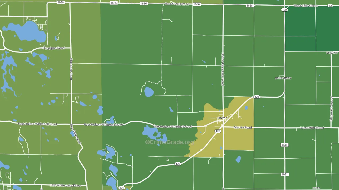 Holton, MI Map of Vehicle Theft Rates