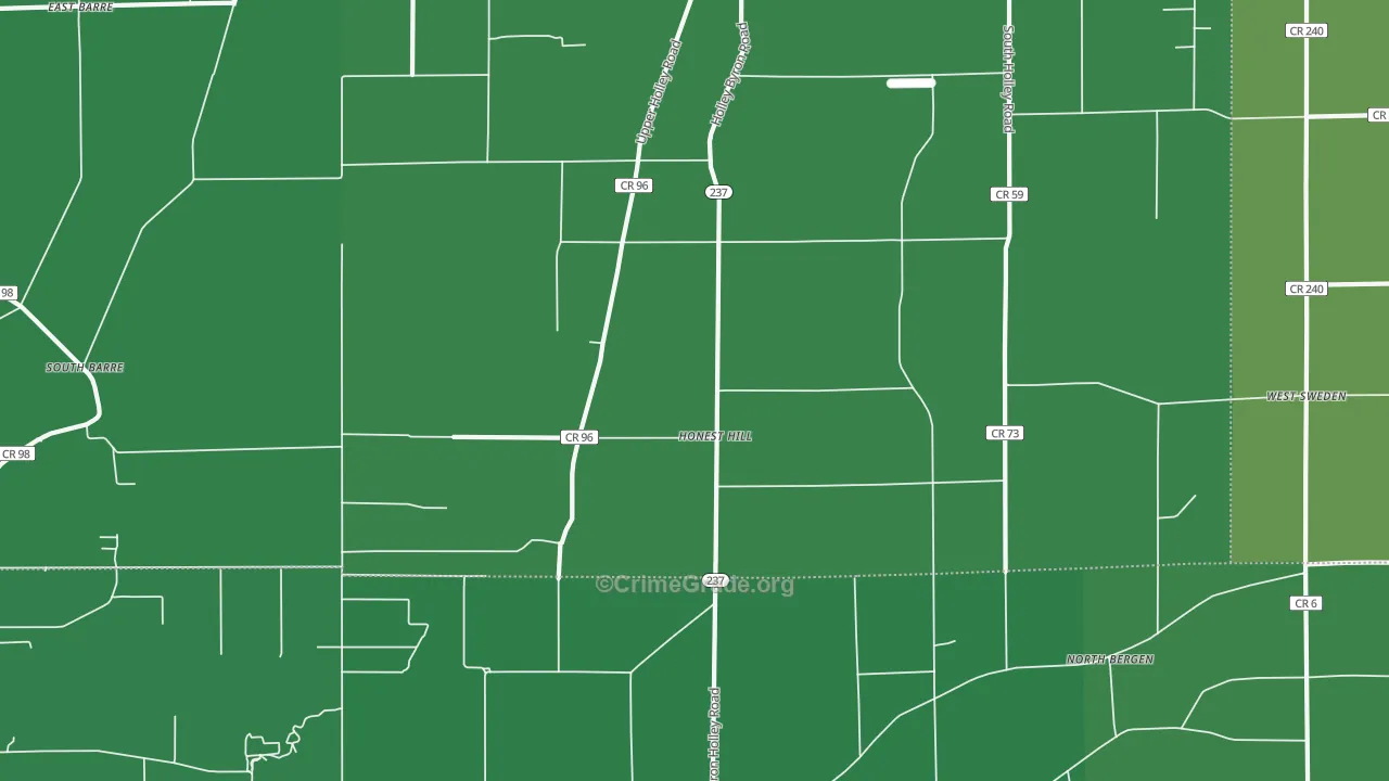 Honest Hill, NY Map of Vehicle Theft Rates