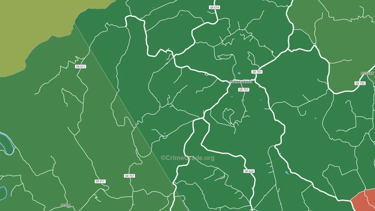Indian Valley, VA Map of Vehicle Theft Rates