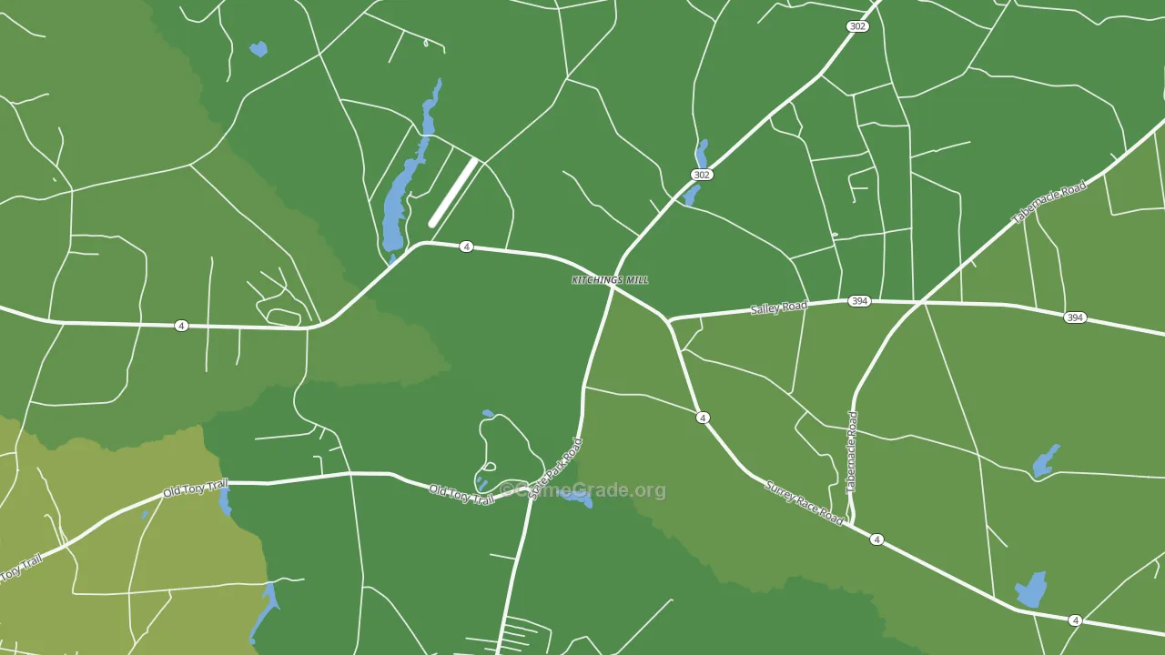 Kitchings Mill, SC Map of Vehicle Theft Rates