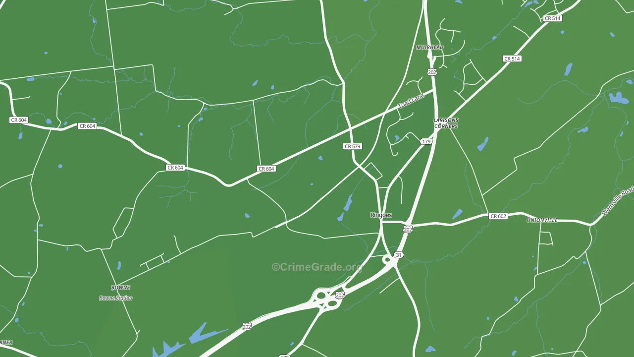 Larisons Corner, NJ Map of Vehicle Theft Rates