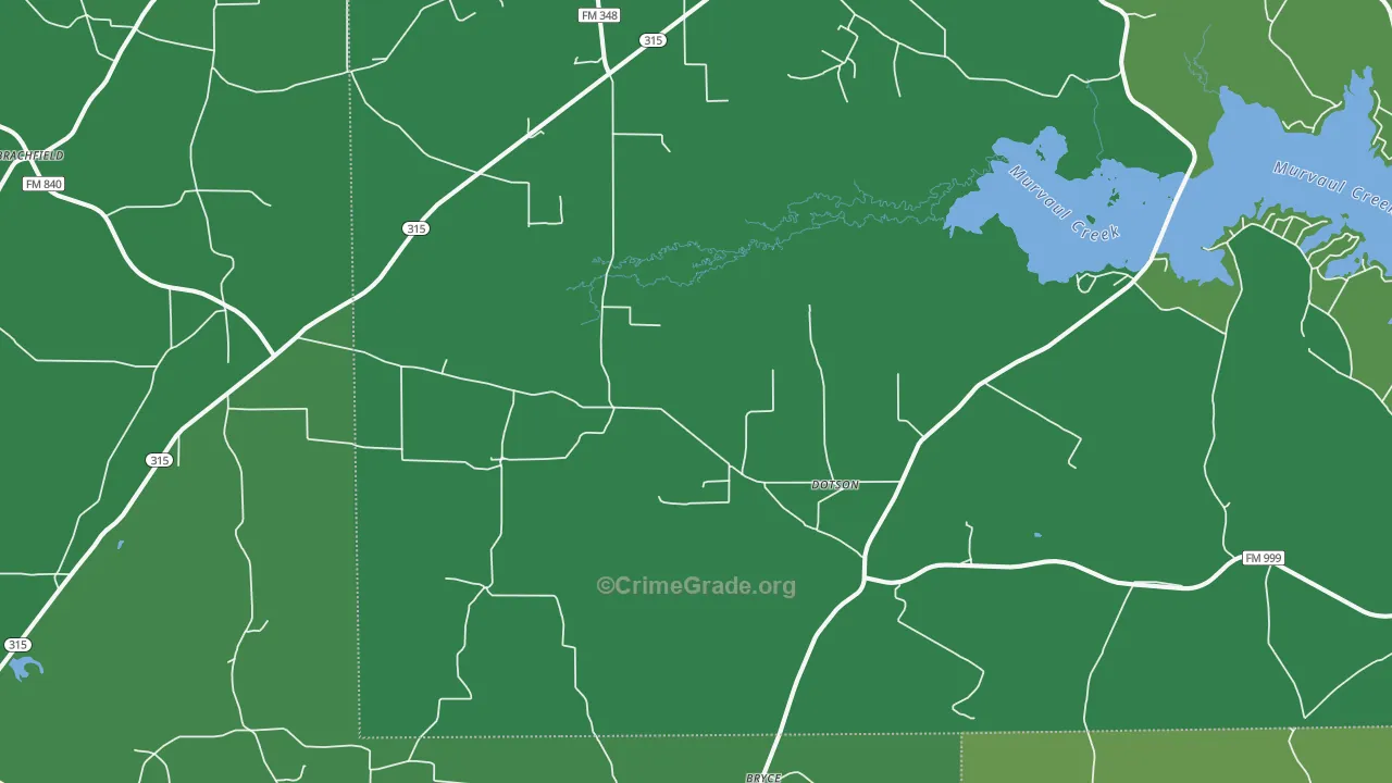 Long Branch, TX Map of Vehicle Theft Rates