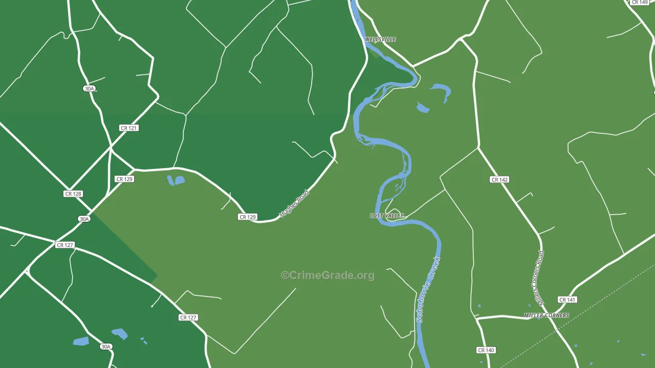 Lost Valley, NY Map of Vehicle Theft Rates